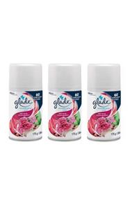 Glade Otomatik Sprey Meyve & Çiçek Buketi Yedek 3 X 269 Ml