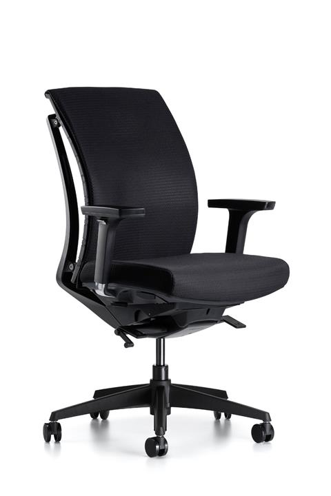 Bürotime Frame Çalışma Koltuğu Plastik Ayak