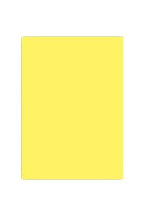 Alex Sarı Fon Karton