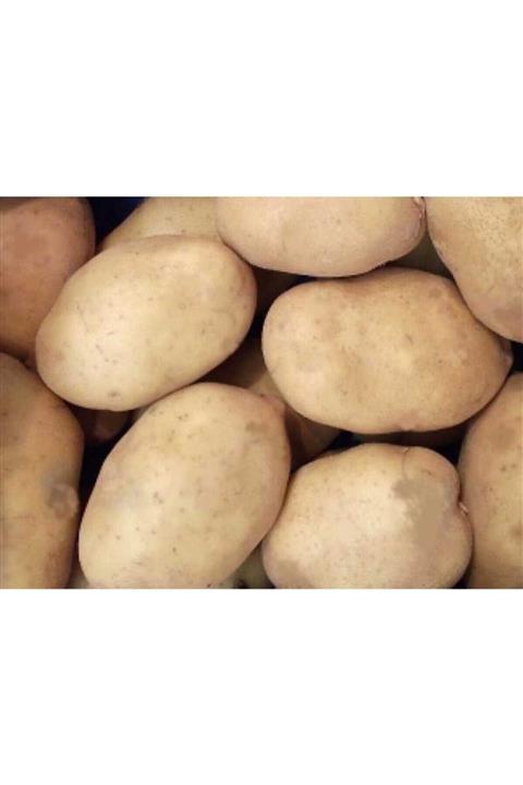 Afyon Agrıa Kızartmalık Lüks Patates 10 Kg