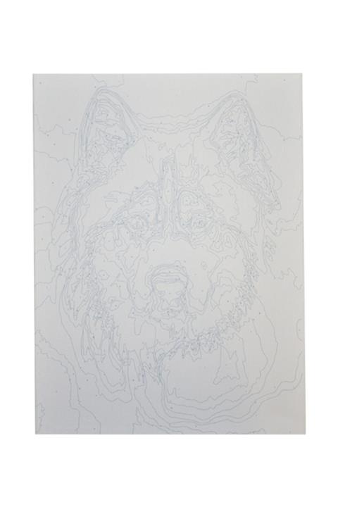 Rubenis Kurt Resimli Sayılarla Boyama Seti 30x40 Cm