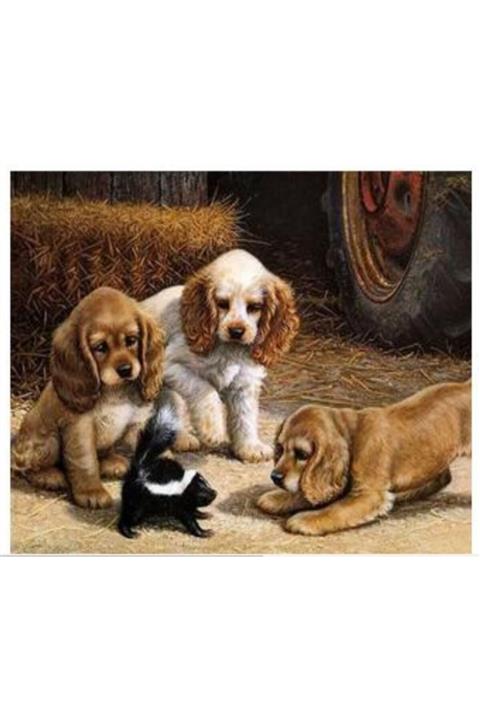 art liva Sayılarla Boyama Hobi Seti Tuvalli 40x50 Cm Köpekler