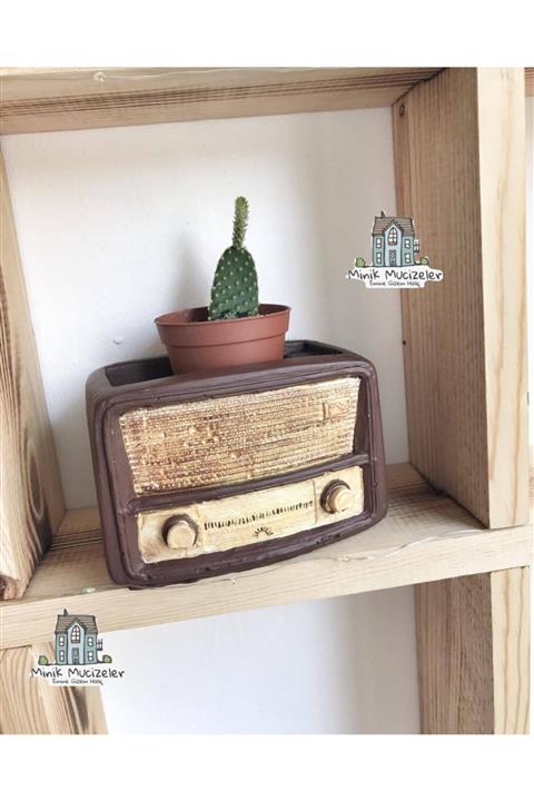 Minik Mucizeler Saksı