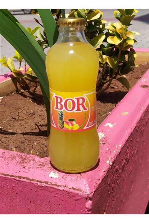Bor Mango Ananasli Gazoz(24'lu)