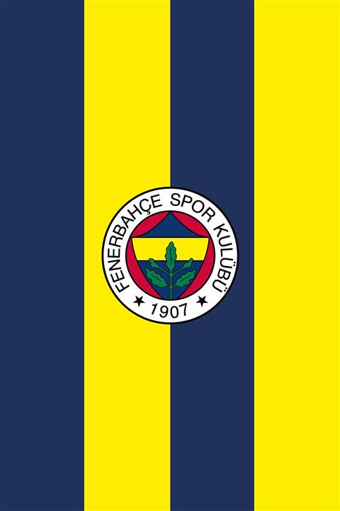 Fenerbahçe 300X500 Fb Logo Çift Taraf Kongre Bayrak