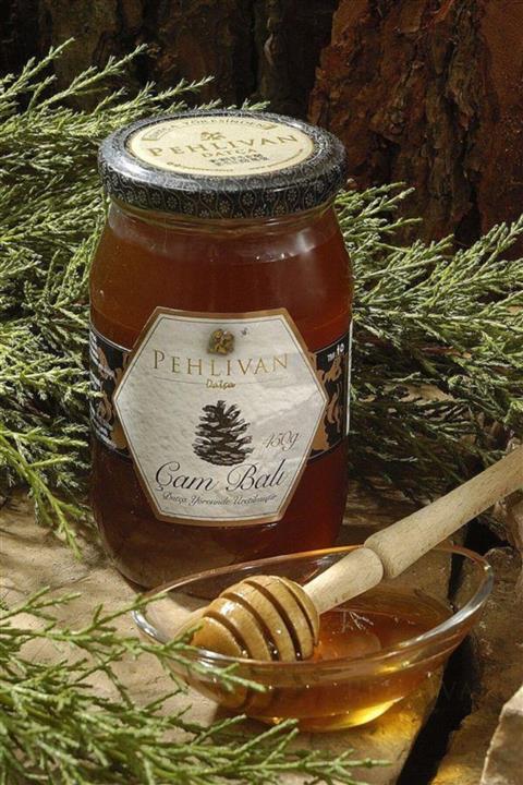 PEHLİVAN DATÇA Çam Balı 450 Gr