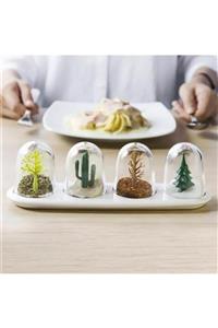 3balışveriş Dört Mevsim Baharatlık - Four Seasons Spice Shakers