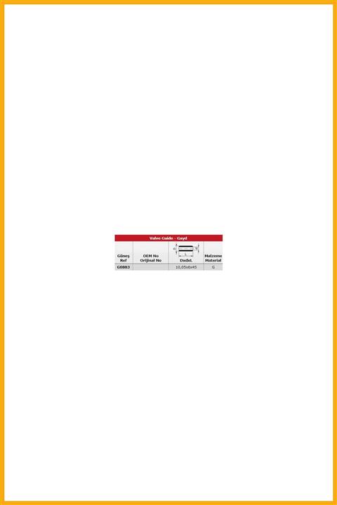 AAVDAN Subap Gaydı X20dth Y20dth Vectra B Astra G