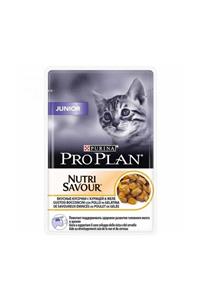 Proplan Pro Plan Junior Tavuklu Pouch Yavru Kedi Konservesi 85 gr