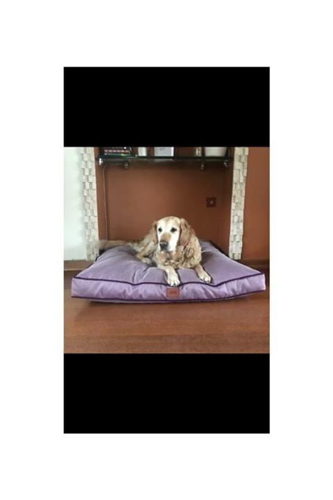 Icon Kedi Köpek Yatağı