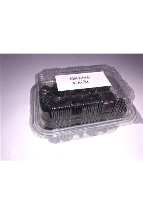 Nur Sifa Evi 500gram Kastamonu Üryani Eriği