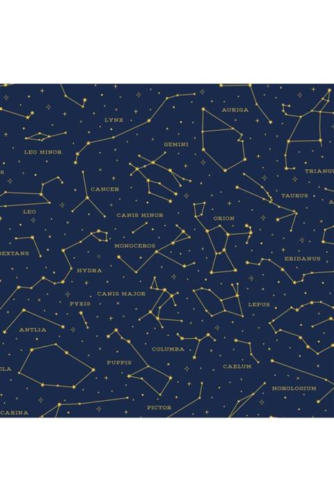 Legami Legamı Paket Kagıdı Stars