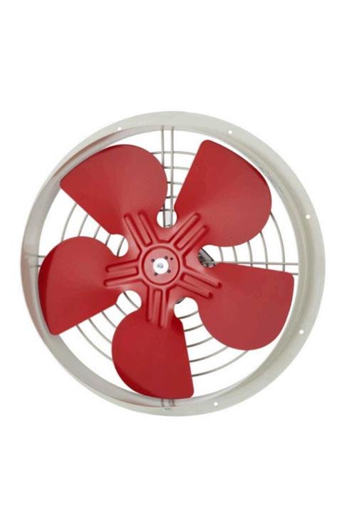 FANEXFAN Aspiratör Duvar Tipi 30 Cm Çap