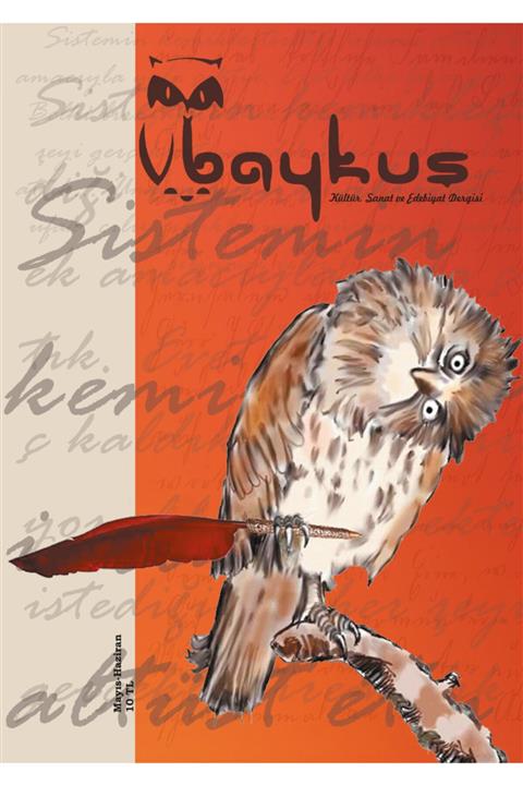 Baykuş Edebiyat Dergisi Baykuş 4