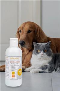 Nitromax Kedi-köpek Antıseptıc Şampuan 250 Ml-son Kul.31,08,2024