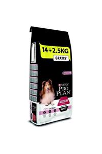 Proplan Somonlu Hassas Yetişkin Kuru Köpek Maması 14+2,5 Kg 2'li Set Idili