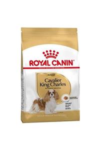 Royal Canin Cavalier King Charles Irk Köpek Maması 3 Kg