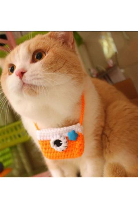 BurDen Dekoratif Ürünler & Tasarım Fotoğraf Makinalı Selfie Kedi Kolyesi / Tasması & Aksesuar , Fenomen Kedi, El Yapımı Örgü