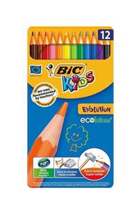 Bic Evolutıon Kuru Boya Kalemi 12'li Metal Kutu