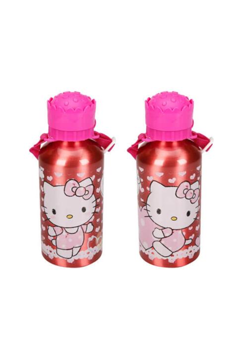 Hakan Çanta Frozen Barbie Veya Hello Kitty Çelik Matara Termos - 500 ml