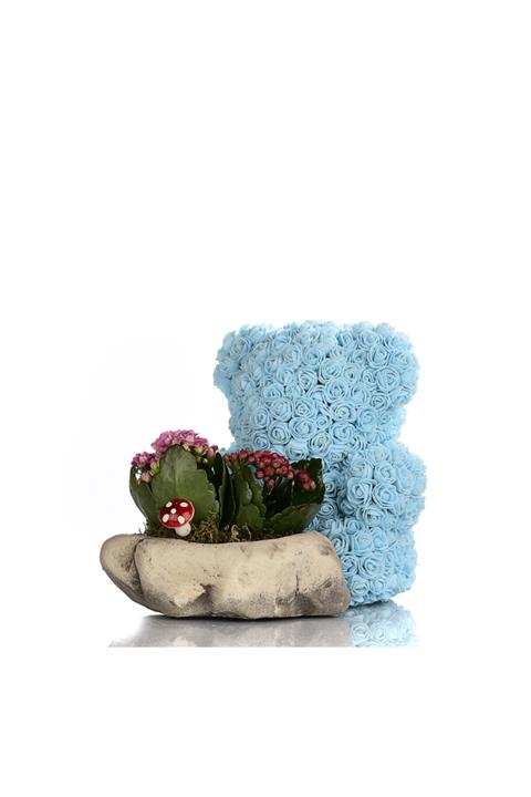 ciceksanat Taş Saksıda Kalanchoelar Ve Mavi Teddy