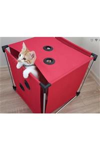 MAGIC CAT BOX Kedi Oyun Evi