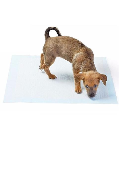 toptanperpa Beyaz Yıkanabilir Emici Köpek Tuvalet Eğitimi Pedi 100x100 cm