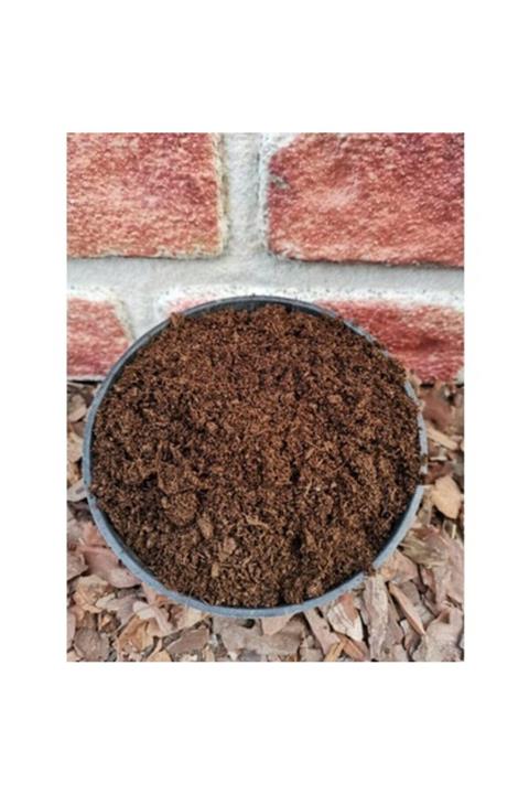 toprak Menekşeler Için 4 Litre Klasman Torf