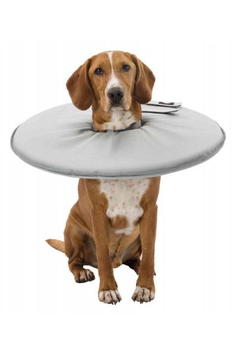 Trixie Köpek Yakalığı Xl:60-64cm/29cm Gri