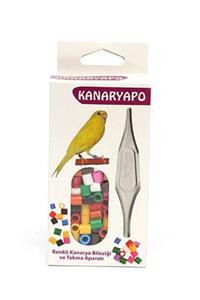 Kanaryapo Renkli Plastik Bilezik Ve Aparatı