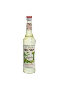 Monin Ginger Zencefil Aromalı Şurup 700 ml