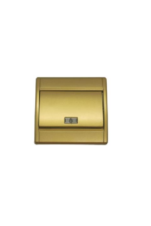 DMR Metalik Balköpüğü Işıklı Light Anahtar