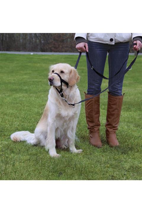 Trixie Uzman Köpek Göğüs Eğitim Tasması M 28 cm