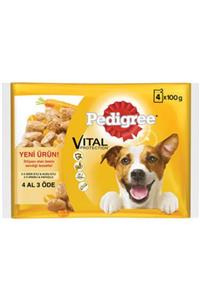 Pedigree Biftekli, Kuzulu, Hindili, Havuçlu Yaş Mama 4x100g