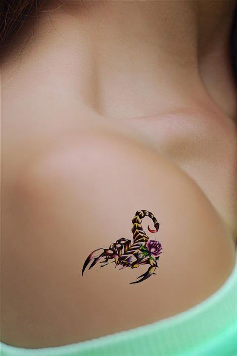 TAKIŞTIR Geçici Akrep Mini Dövme Tattoo