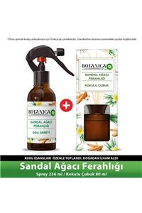 Air Wick Botanica Sandal Ağacı Ferahlığı Çubuklu Oda Kokusu Spreyi 236 Ml + Oda Kokusu 80 Ml