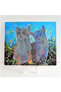 MENTAŞ Boncuklu Taşlı Mozaik Elmas Goblen Pano Tablo Resim Puzzle Dıamond Paıntıng 21x25- Kedi Modeli