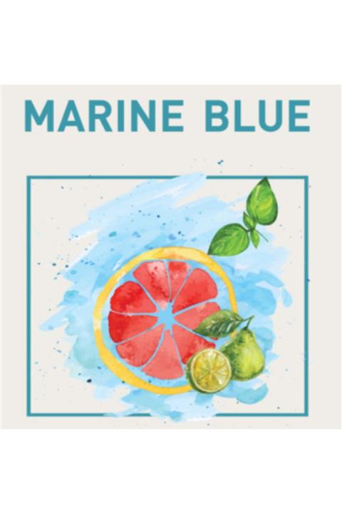 SCENTO Marıne Blue (okyanus, Nane & Greyfurt) Koku Makina Parfümu 220ml