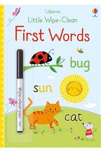 Usborne Usb - Little Wipe - Clean First Words