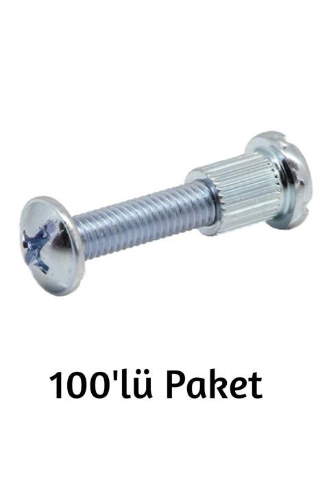 Ersan Montebent Mobilya Montaj Bağlantı Vidası 4 Cmm / 100'lü Paket