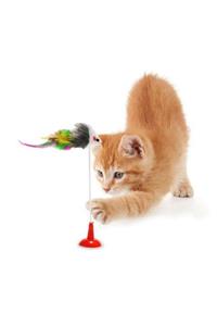 ARSTİC Vantuzlu Fare Kedi Oyuncağı