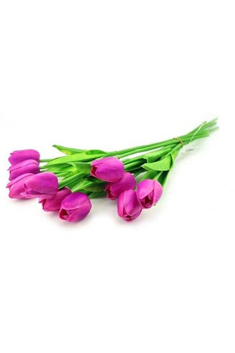 PiCare Çiçek Islak Lale Fuşya Pk:10 Ar1691f