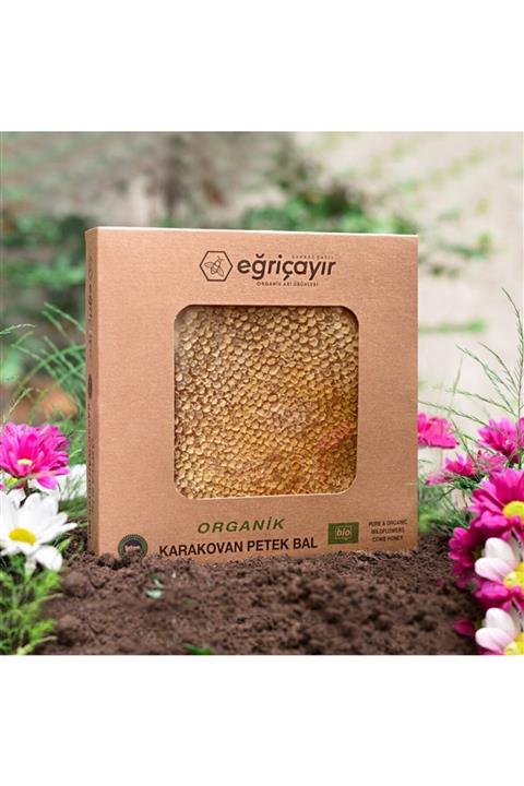Eğriçayır Organik Karakovan Petek Balı 620 Gr