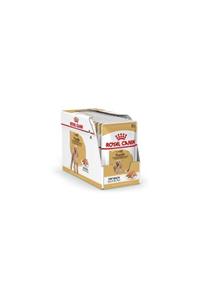 Royal Canin Poodle Yetişkin Pouch Yaş Köpek Maması 85 Gr 12'li