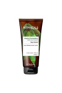 L'Oreal Paris Kişniş Güç Kaynağı Bakım Kremi 200 ml 3600523428915
