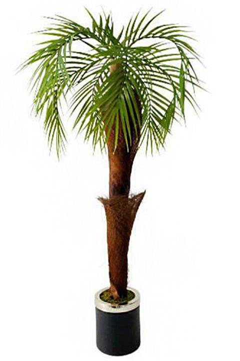 Hediye Vitrini Palmiye Ağacı Siyah Metal Saksı Da Bambu Sopasına Lif Ile Sarılı Yapay Palmiye 90cm