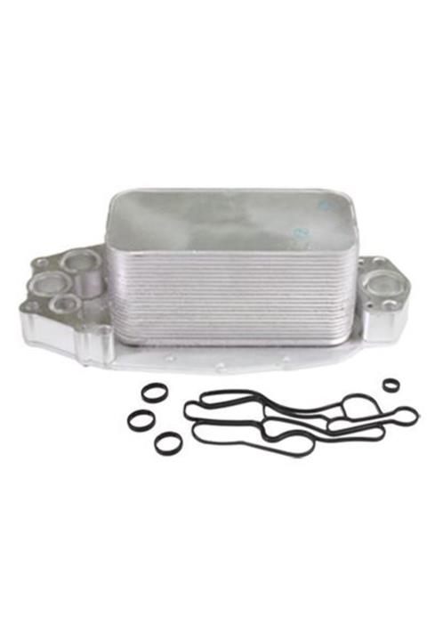 BSG Land Rover Land Rover Range Rover Iv- Sport Yağ Soğutucu 1999 Ve Üstü Yıllar (5989070371)