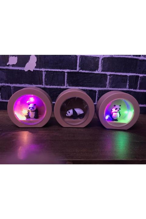 ASVASHOP Panda Tasarımlı Işıklı Fanus Dekoratif Hediyelik
