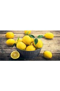 ELKA Organik Limon 5 Kg