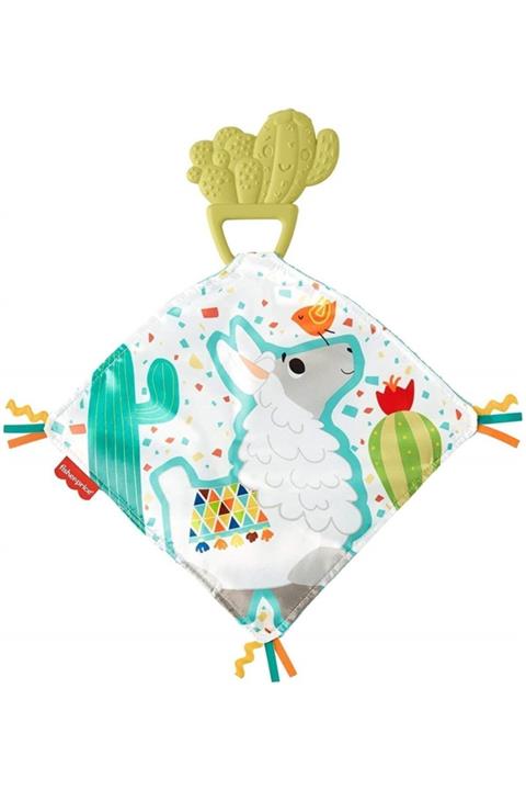 FISHER PRICE Kaktüs Dişlik Gjd38